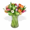 Tulip Temptation - same day or named day delivery - Rushes Florist Tulip Temptation - same day or named day delivery - Rushes Florist