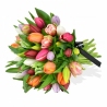Tulip Temptation - same day or named day delivery - Rushes Florist Tulip Temptation - same day or named day delivery - Rushes Florist