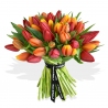 Mixed Tulips Bouquet - same day or named day delivery - Rushes Florist Mixed Tulips Bouquet - same day or named day delivery - Rushes Florist