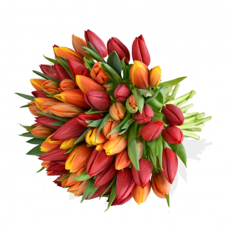 Mixed Tulips Bouquet - same day or named day delivery - Rushes Florist