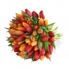 Mixed Tulips Bouquet - same day or named day delivery - Rushes Florist Mixed Tulips Bouquet - same day or named day delivery - Rushes Florist