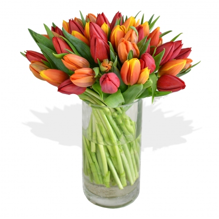 Mixed Tulips Bouquet - same day or named day delivery - Rushes Florist Mixed Tulips Bouquet - same day or named day delivery - Rushes Florist