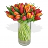 Mixed Tulips Bouquet - same day or named day delivery - Rushes Florist Mixed Tulips Bouquet - same day or named day delivery - Rushes Florist