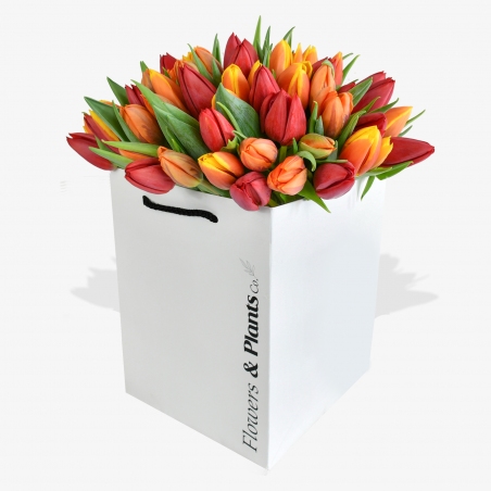 Mixed Tulips Bouquet - same day or named day delivery - Rushes Florist
