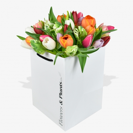 Tulip Temptation - same day or named day delivery - Rushes Florist Tulip Temptation - same day or named day delivery - Rushes Florist