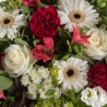 Ruby - same day or named day delivery - Rushes Florist