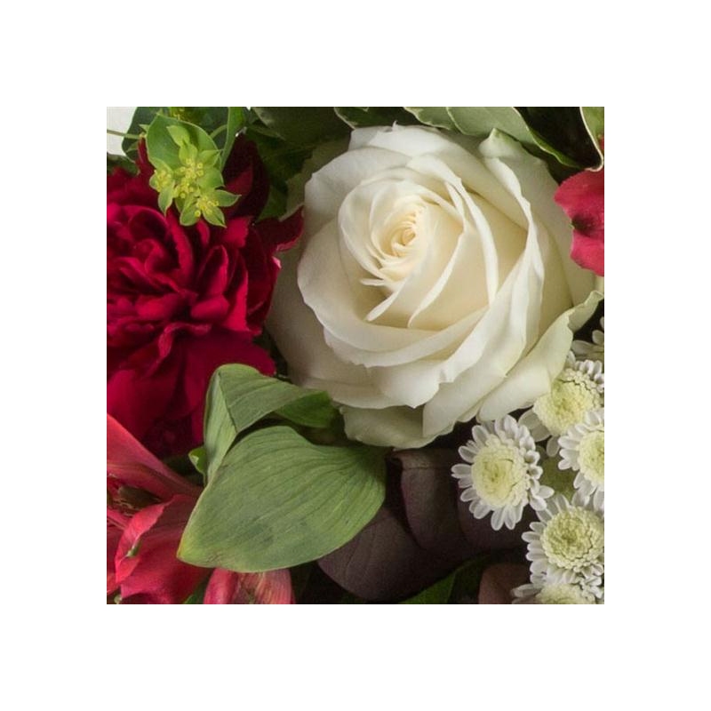 Ruby - same day or named day delivery - Rushes Florist