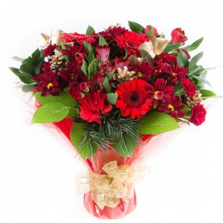 Christmas Celebration - same day or named day delivery - Rushes Florist