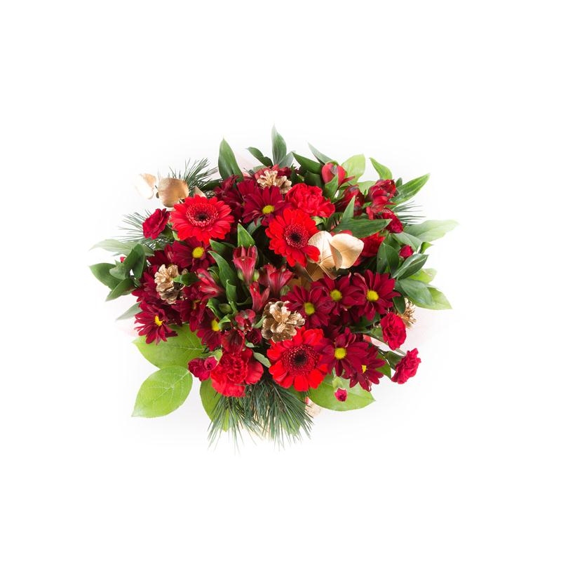 Christmas Celebration - same day or named day delivery - Rushes Florist