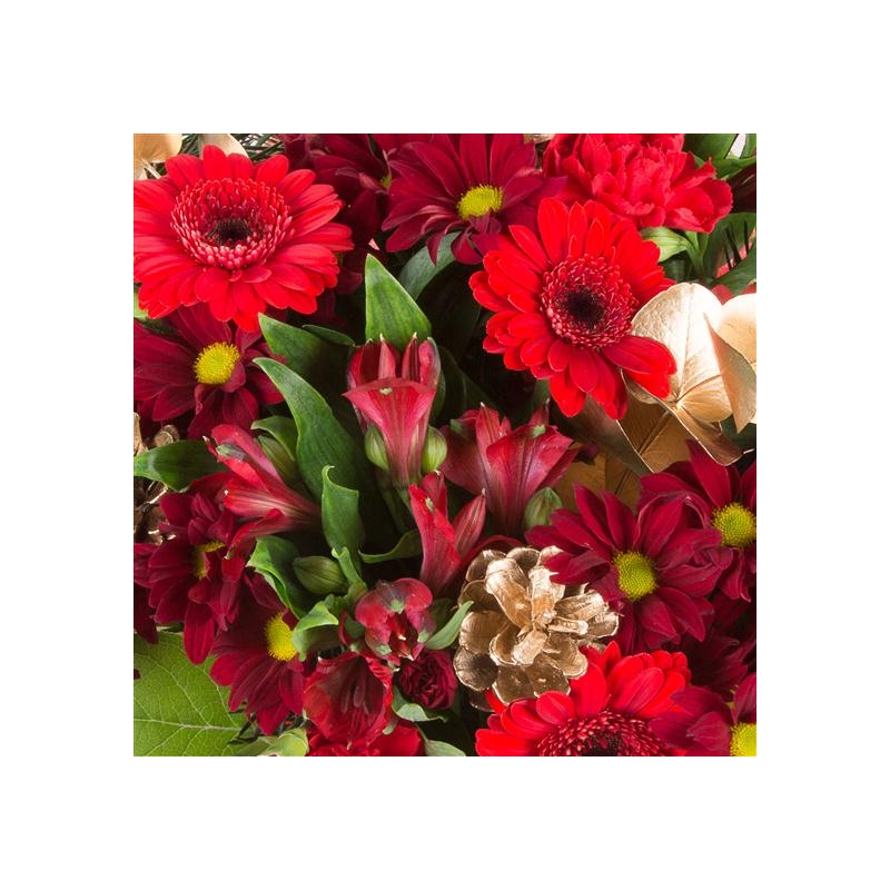 Christmas Celebration - same day or named day delivery - Rushes Florist