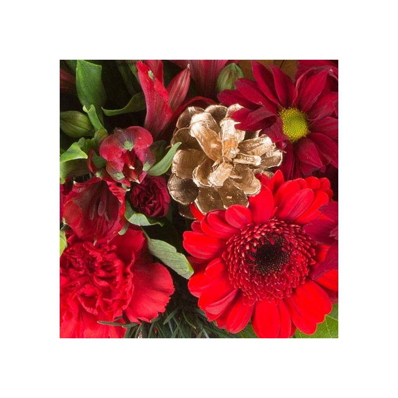 Christmas Celebration - same day or named day delivery - Rushes Florist