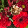 Christmas Celebration - same day or named day delivery - Rushes Florist