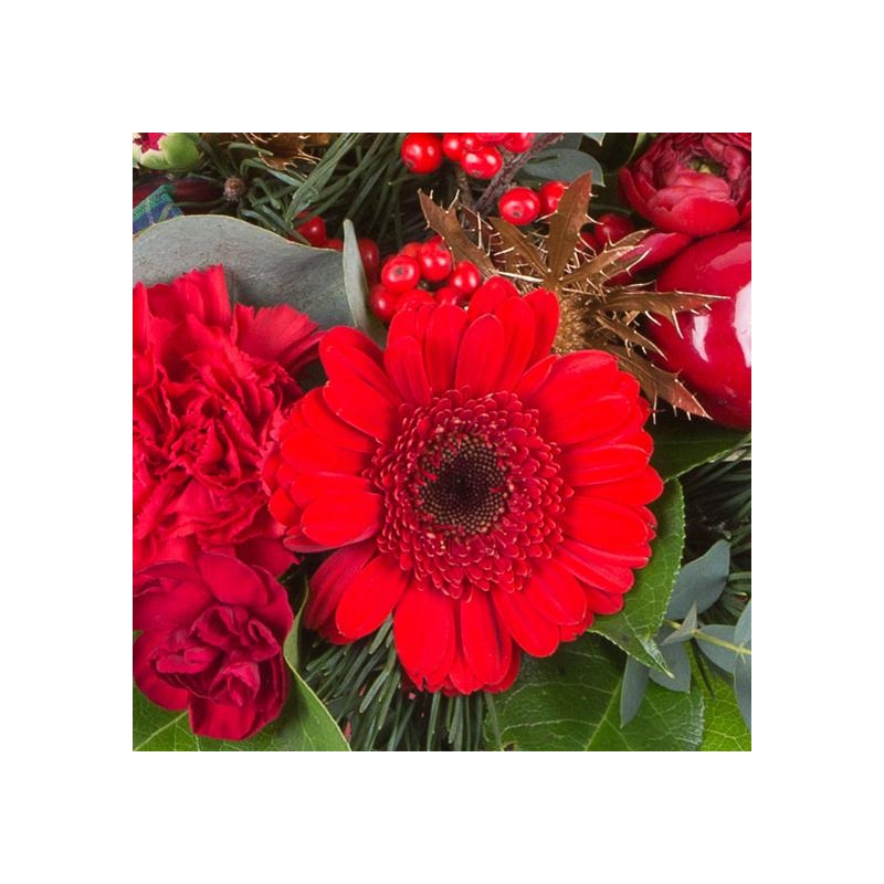 Deck the Halls - same day or named day delivery - Rushes Florist
