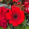 Deck the Halls - same day or named day delivery - Rushes Florist