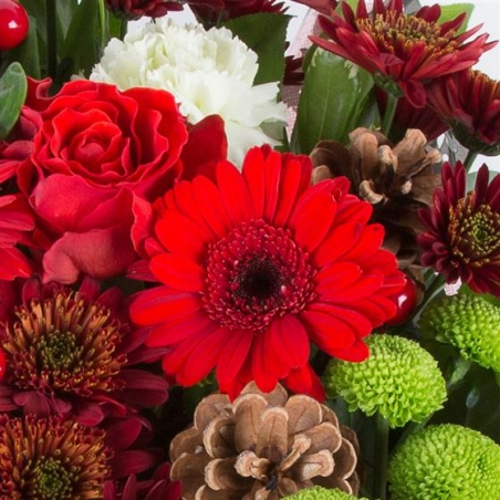 Merry Christmas - same day or named day delivery - Rushes Florist