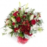 Yuletide - same day or named day delivery - Rushes Florist