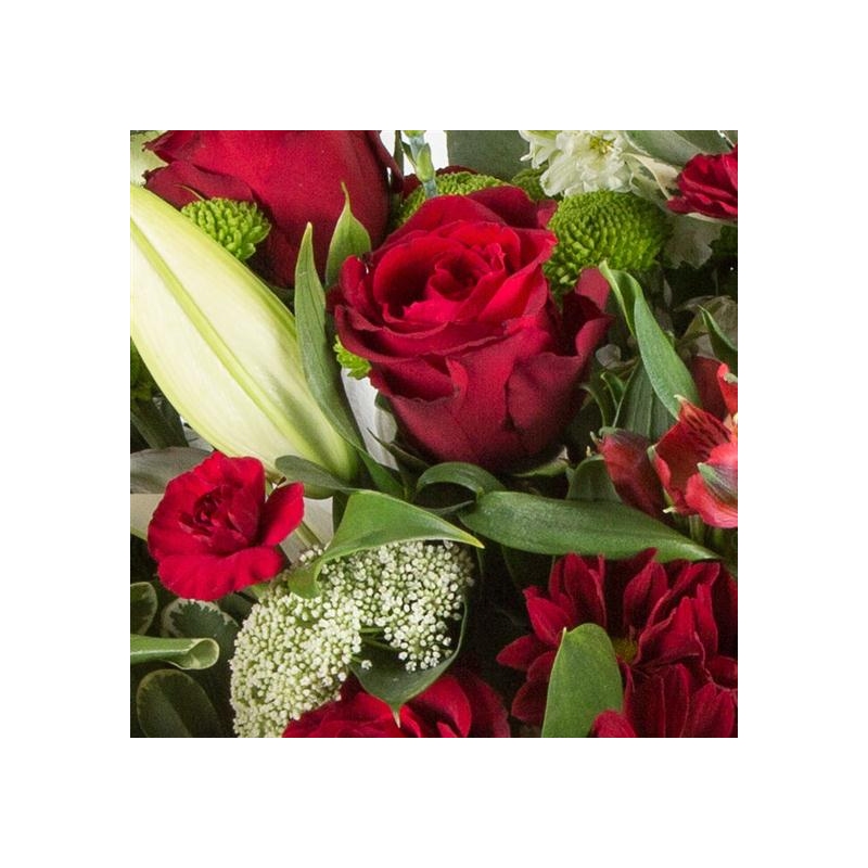 Yuletide - same day or named day delivery - Rushes Florist
