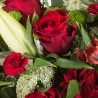 Yuletide - same day or named day delivery - Rushes Florist