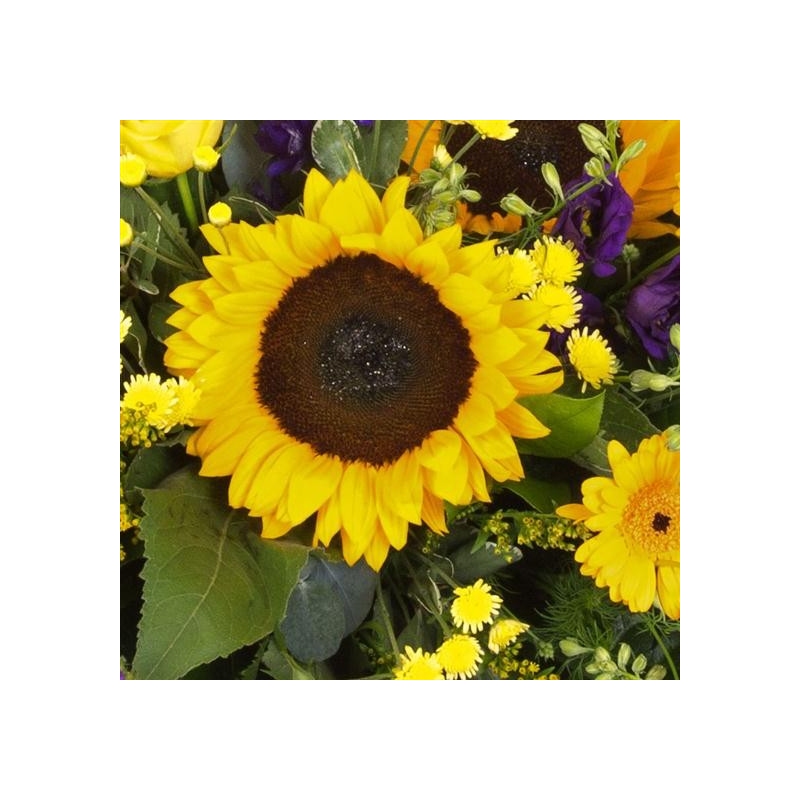 Purple and Gold Casket Spray - same day or named day delivery - Rushes Florist