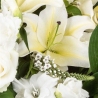 White Lily and Rose Casket Spray - same day or named day delivery - Rushes Florist