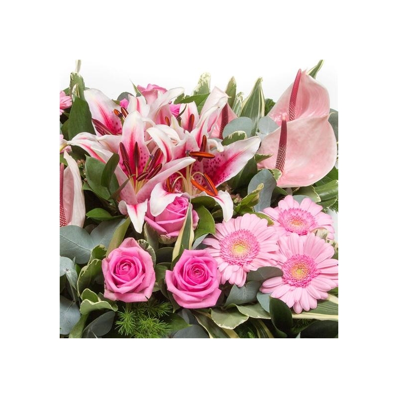 Contemporary Cushion - same day or named day delivery - Rushes Florist