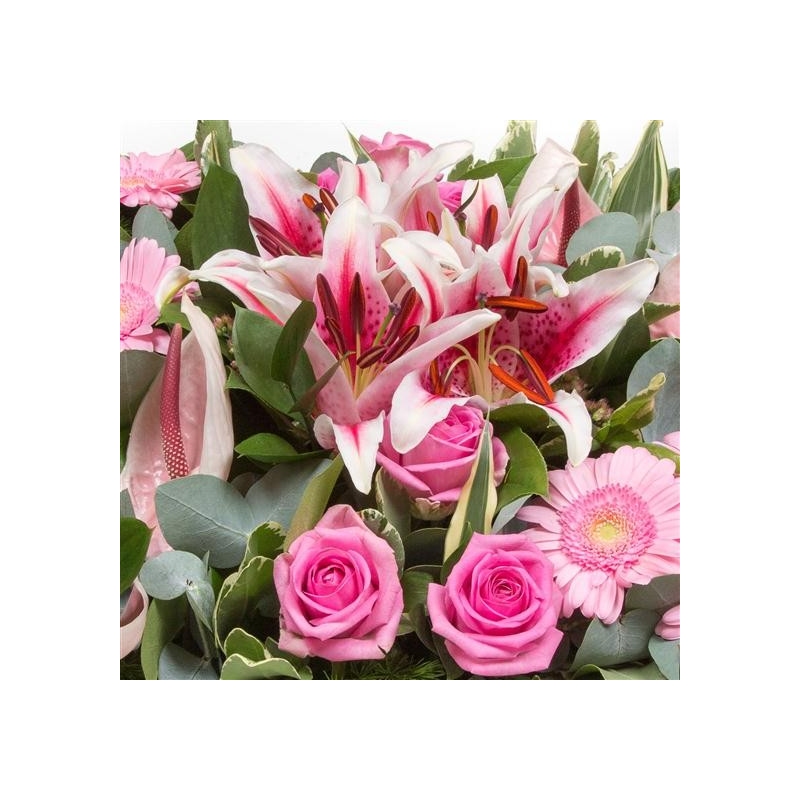 Contemporary Cushion - same day or named day delivery - Rushes Florist