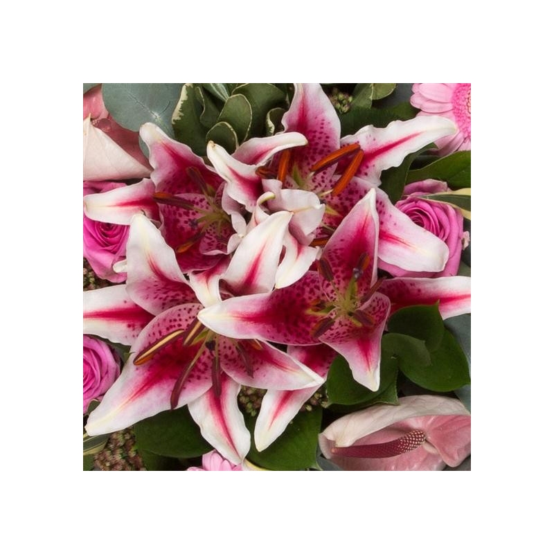 Contemporary Cushion - same day or named day delivery - Rushes Florist