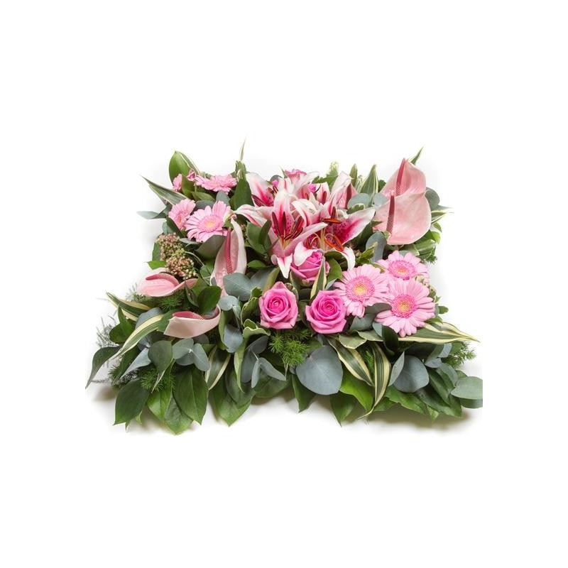 Contemporary Cushion - same day or named day delivery - Rushes Florist