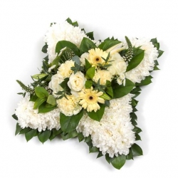 Massed Cushion - same day or named day delivery - Rushes Florist